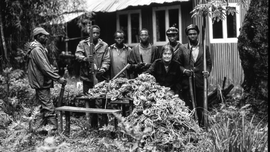 Dian Fossey au Rwanda