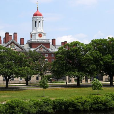 Le campus de Harvard University dans le Massachusetts le 8 juillet 2020.