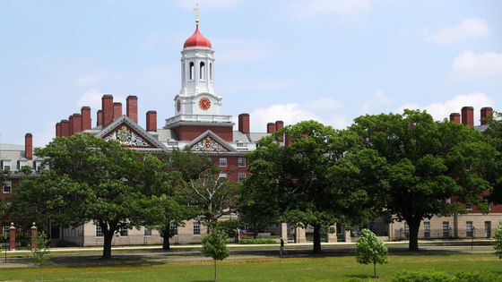 Le campus de Harvard University dans le Massachusetts le 8 juillet 2020. ©AFP - Maddie Meyer