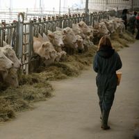 Vivre aux côtés des animaux dans un lycée agricole