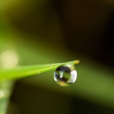 Une goutte d'eau
