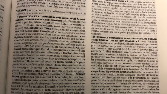 Définition du terme "Service public" dans le dictionnaire "Le Nouveau Petit Robert 2009" - Sarah Marx