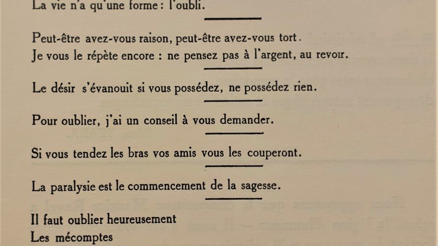 Extrait de Cannibale, revue mensuelle de F. Picabia (25/04/1920)
