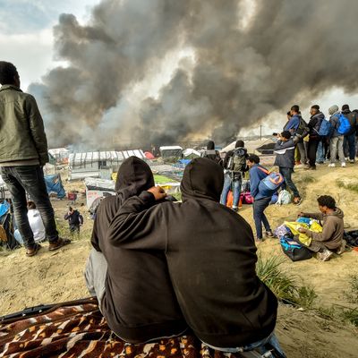 Des migrants regardent le démantèlement massif du camp de réfugiés, à Calais, le 26 octobre 2016