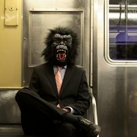 C'est en partant de son observation des primates que Donna Haraway a exploré l'idée que le genre était un outil comparable à des lunettes..