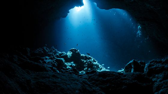 Plongez dans les abysses… au théâtre ! ©Getty - Daisuke Kurashima / EyeEm