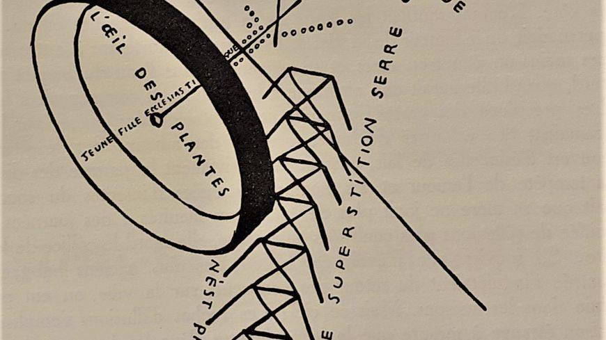 Extrait de Cannibale, revue mensuelle de F. Picabia (25 avril 1920)