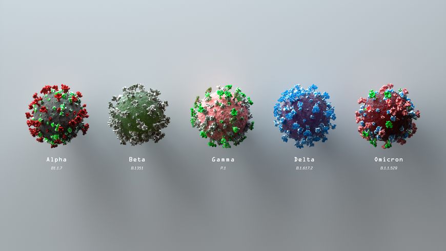 modélisation des principaux variants du Covid-19