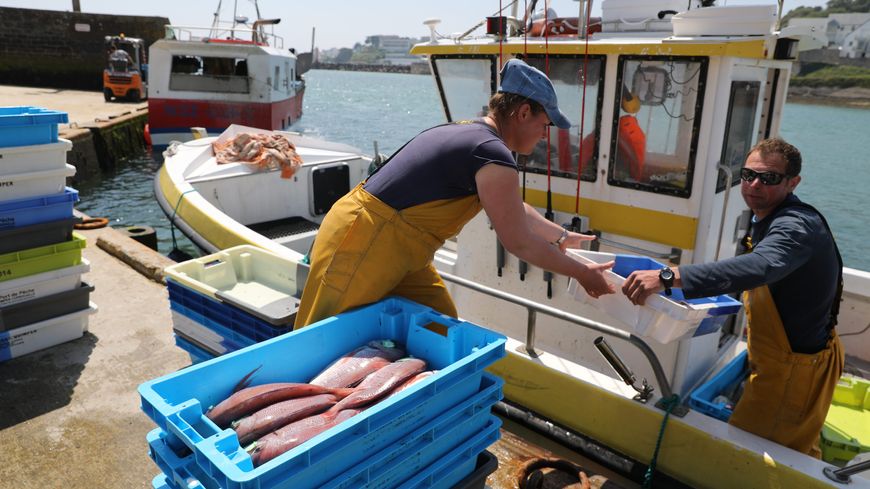 Arrivée de marins pécheurs et leur bateau sur la criée d'Audierne (Finistère), ou ils déchargent leur pèche du jour, le 30 juin 2021.