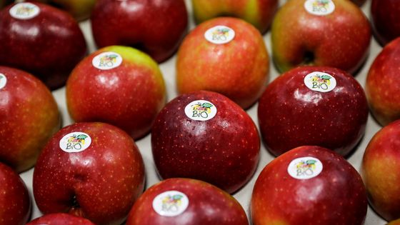 Pommes issues de l'agriculture bio. ©AFP - AFP