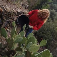 Sylvie, membre de l'association Cerbère Cactus, dans les Pyrénées-Orientales.