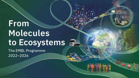 La biologie redevient interdisciplinaire, rappelle le biologiste Thomas Lecuit, alors que toutes les sciences se coordonnent face aux enjeux environnementaux - Creative Team/EMBL (Laboratoire européen de biologie moléculaire)