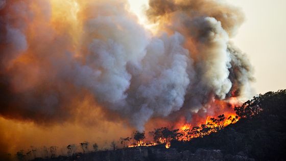 Canicules, inondations, tempêtes, augmentation du niveau de la mer…La nouvelle évaluation du GIEC documente les impacts du changement climatique sur la planète. ©Getty - Andrew Merry
