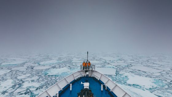 Peut-on préserver les océans tout en profitant de ses richesses ? Mieux connaitre les fonds marins permettra-t-il de mieux encadrer l’exploitation ? ©Getty - David Merron