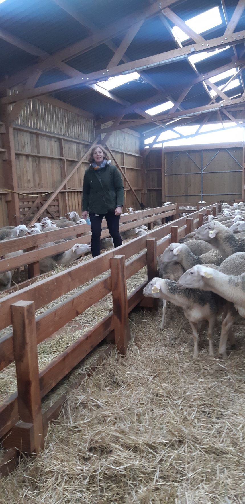 Caroline, dans sa ferme de la Houlette, où les brebis attendent d'aller paître dehors