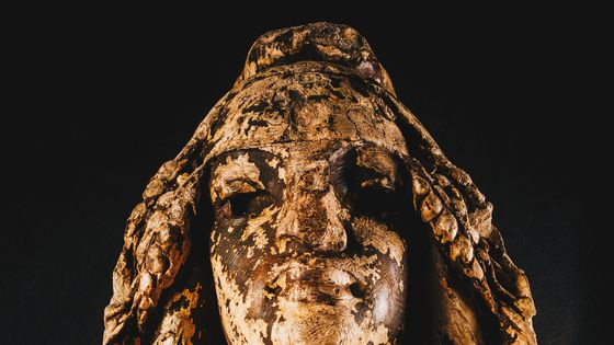 Buste de la Marianne noire exposée au Musée de la Résistance et de la Déportation de Toulouse - Aurélien Ferreira