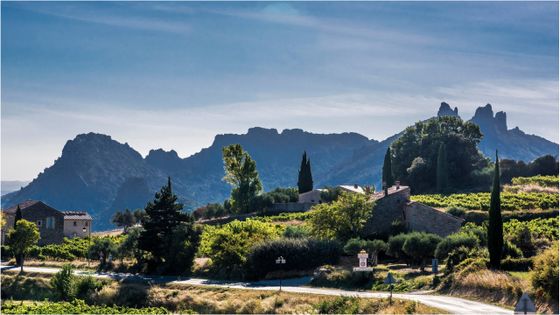 Vue sur les Dentelles de Montmirail depuis le village de Suzette en Provence ©Getty - Daniele Schneider