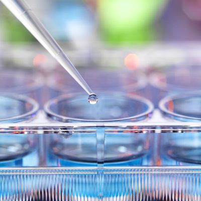 La médecine de précision a pour objectif de proposer au patient un traitement adapté aux caractéristiques de sa tumeur
