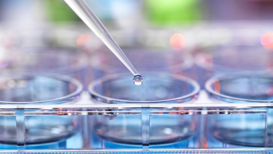La médecine de précision a pour objectif de proposer au patient un traitement adapté aux caractéristiques de sa tumeur ©Getty - TEK IMAGE/SCIENCE PHOTO LIBRARY