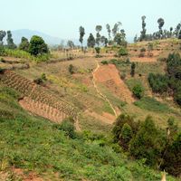Rwanda, région de Butare
