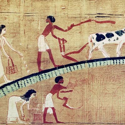 Détail d'une vignette du Livre des Morts de Dame Cheritwebeshet, Égypte ancienne