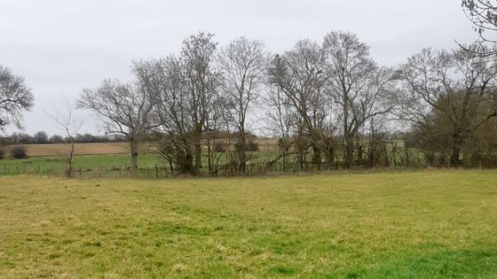Prairies au milieu des terres céréalières, en Charente-Maritime, en février 2022. ©Radio France - Anne-Laure Chouin