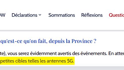 Capture d’écran du site de Rémy Daillet (old.remy-daillet-wiedemann.fr) où il est question des “petites cibles telles les antennes 5G”.