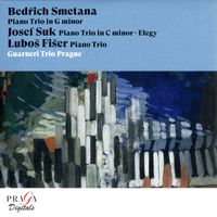 Trio avec piano en sol min op 15 T 64 : 3. Finale. Presto