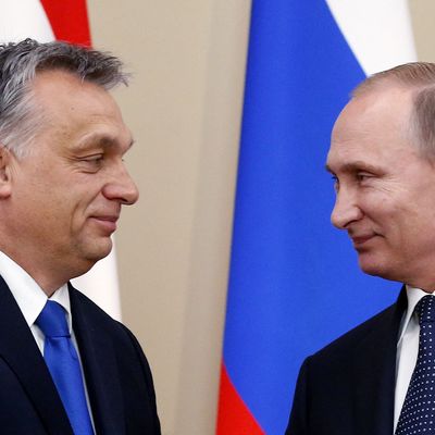 Le premier ministre hongrois Viktor Orban rencontre le président russe Vladimir Poutine à Moscou le 17 février 2016