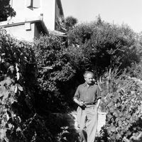 Jean Giono dans son jardin à Manosque, dans les années 50