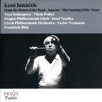 La petite renarde rusée, Suite : 1. Andante - Allegro