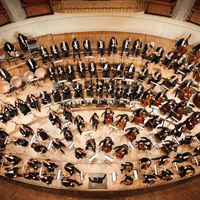 Wiener Symphoniker @ Site Wiener Symphoniker