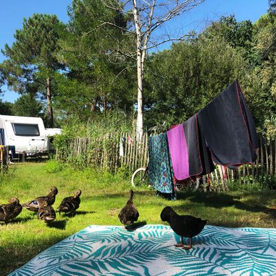 Au camping de Maubuisson en Gironde, été 2021