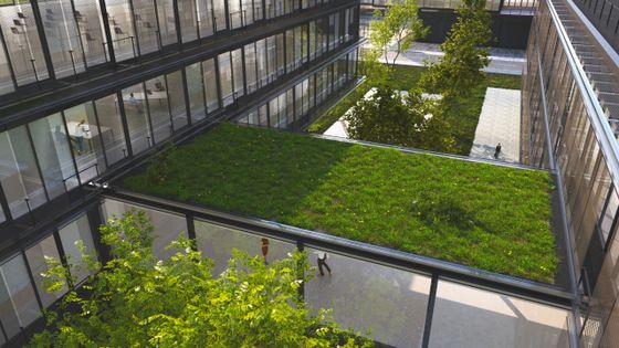 Bureaux écologique durable avec un toit vert ©Getty - Piranka