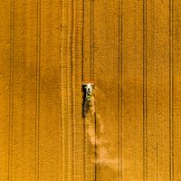 Drone view of combine harvester in wheat field (Serbia)