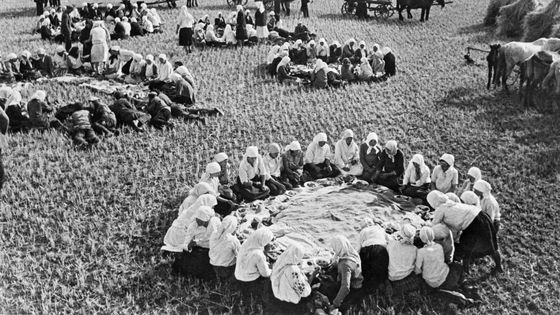 Photo d'un Kolkhoze près de Kiev ©Getty