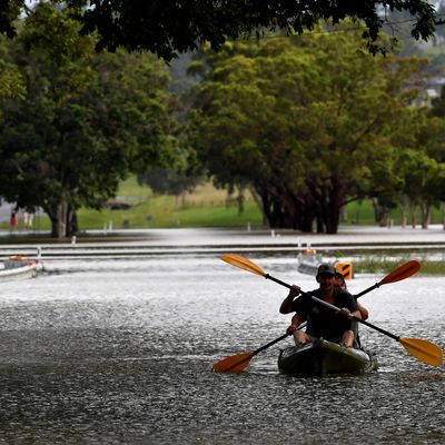 Des australiens tentent de fuir les inondations