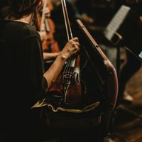 L'Orchestre philharmonique de Vienne a remplacé au pied levé Daniel Barenboim par le premier violon