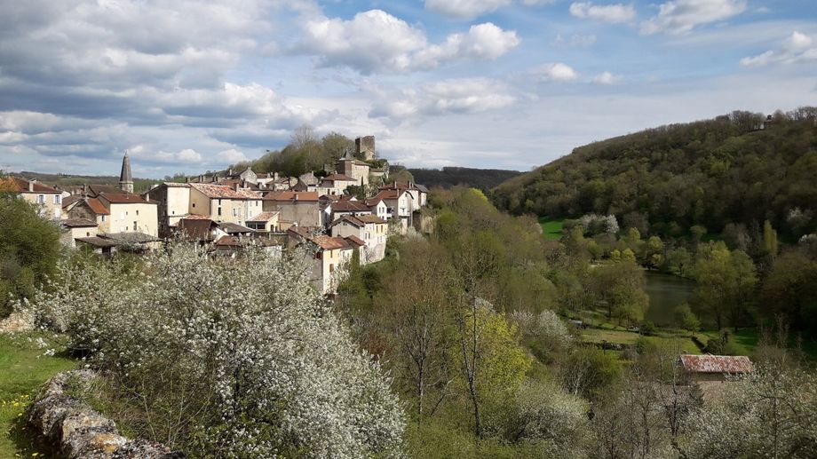 Caylus (82)
