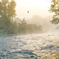 France, Auvergne-Rhones-Alpes, Haute-Loire, la Loire dans les gorges en amont de Lavoute-sur-Loire.