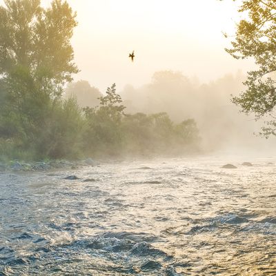 France, Auvergne-Rhones-Alpes, Haute-Loire, la Loire dans les gorges en amont de Lavoute-sur-Loire.