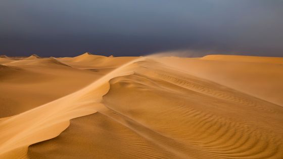 Une tempête de sable dans le désert du Sahara ©Getty - Anton Petrus