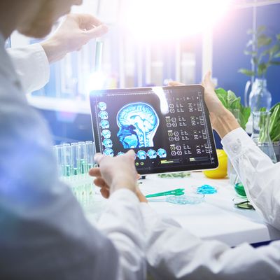 La semaine du Cerveau commence lundi