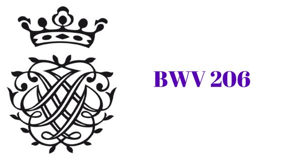 Cantate BWV 206 - .