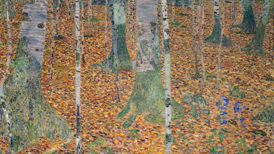 Birch forest, 1903, par Gustav Klimt (1862-1918). Vienna, Österreichischer Galerie Belvedere ©Getty - DeAgostini