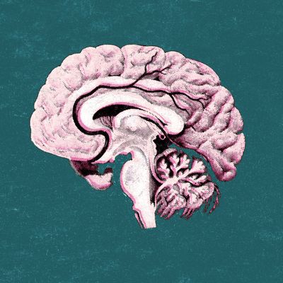 Quel est le lien entre folie et créativité ?
