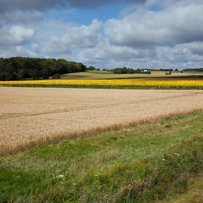 Comment concilier le verdissement de notre agriculture avec notre souveraineté alimentaire ?