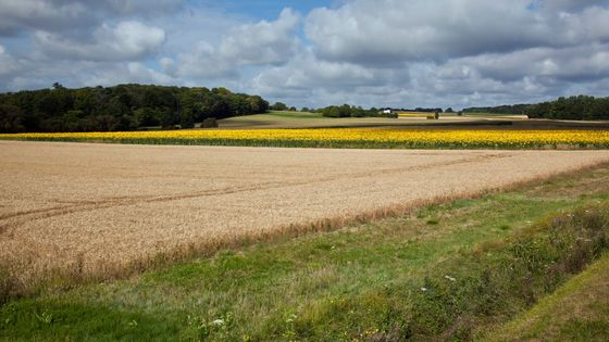 Comment concilier le verdissement de notre agriculture avec notre souveraineté alimentaire ? ©Maxppp - Christian Watier