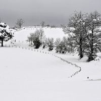 Route enneigée près du village de Ruynes-en-Margeride