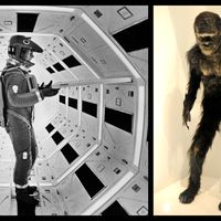 Scène du film 2001, Odyssée de l'espace / Singe du film, exposé en 2017, Cineteca Nacional Mexico